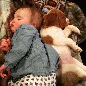 Meet your Posher, Zack